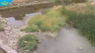 Водите на река Бели Искър смениха цвета си