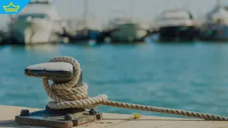 Дронове атакуваха два търговски кораба край България (видео)