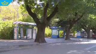 Провадия остана без междуселищен транспорт до Варна
