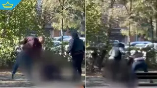 Побой посред бял ден в София: Обвиниха двама за нападение над мъж в парк „Света Троица“ (видео)