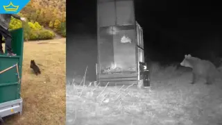 Край на разходките из Гьоврен за едно от двете мечета – преместиха го в резерват