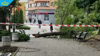 Пострадалият от падналия клон в Сливен с опасност за живота