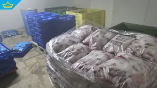 БАБХ затвори незаконна база за консерви в пловдивското село Дълго поле