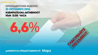 6,6% е избирателната активност към 11:00 ч.