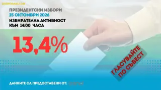 Избирателната активност достигна малко над 13% в ранния следобед