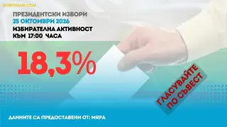 Колко българи гласуваха до 17:00 ч.?