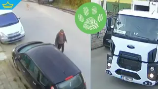 Общински камион уби домашно куче в Горни Лом, шофьорът не спрял