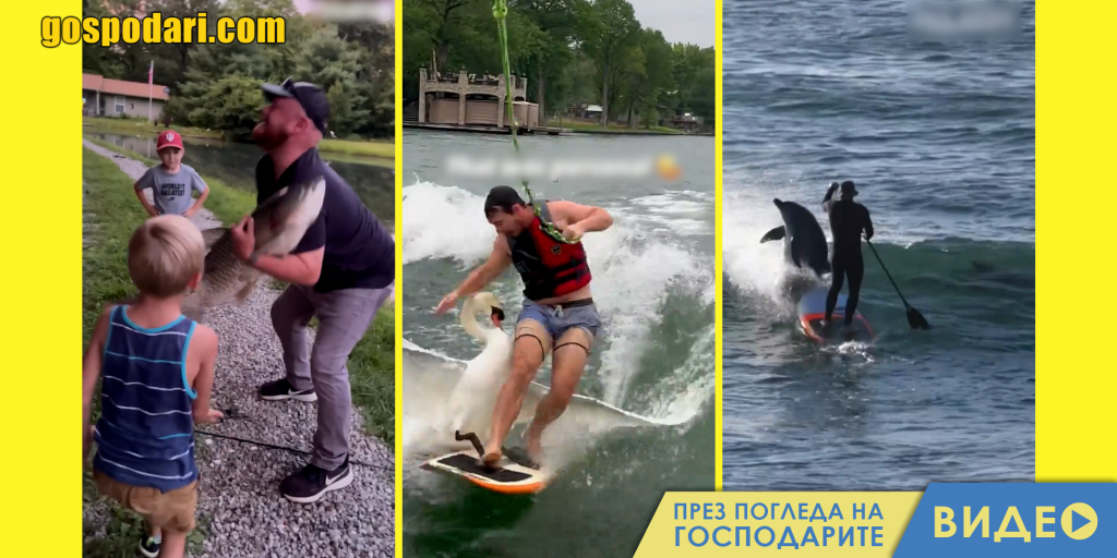 Водни животни срещу хора (видео)