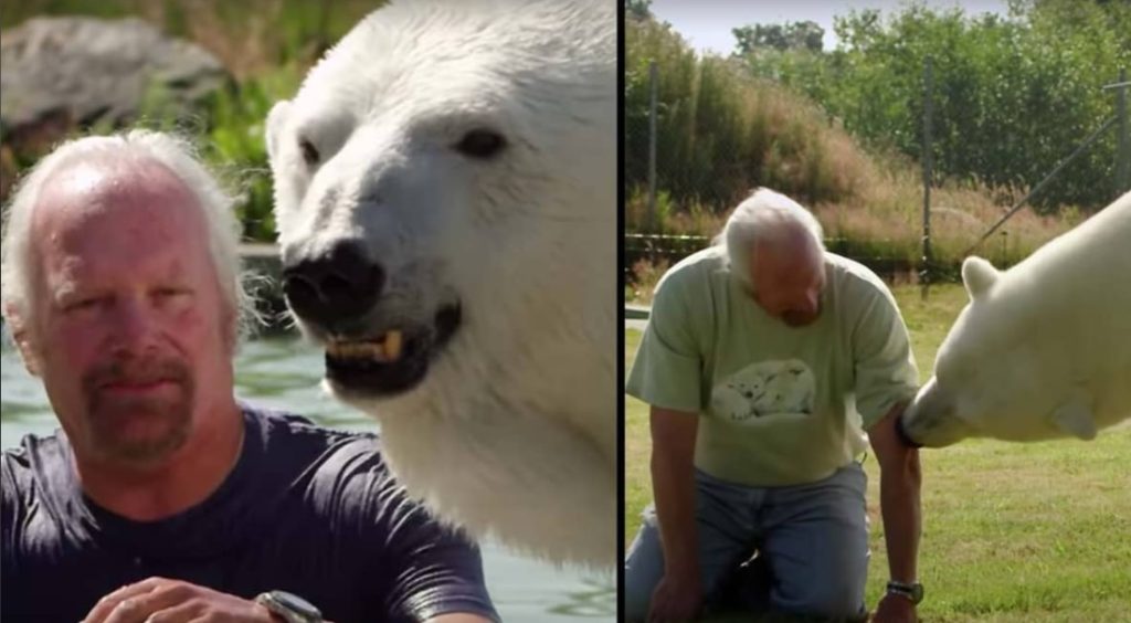 Полярна мечка се ядосва, когато нейният стопанин говори с други дами (видео)
